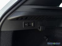 Skoda Kamiq - Vorschau Bild 15