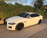 Jaguar XE 20t 200PS R-Sport Automatik R-Sport / 19 Zoll - Jaguar mit Benzin-Antrieb: Limousine, Automatik