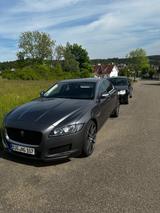 Jaguar XF 30d 300PS Prestige Automatik 21zoll Leder  - Jaguar: X300