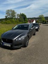 Jaguar XF 30d 300PS Prestige Automatik 21zoll Leder  - Jaguar: X300