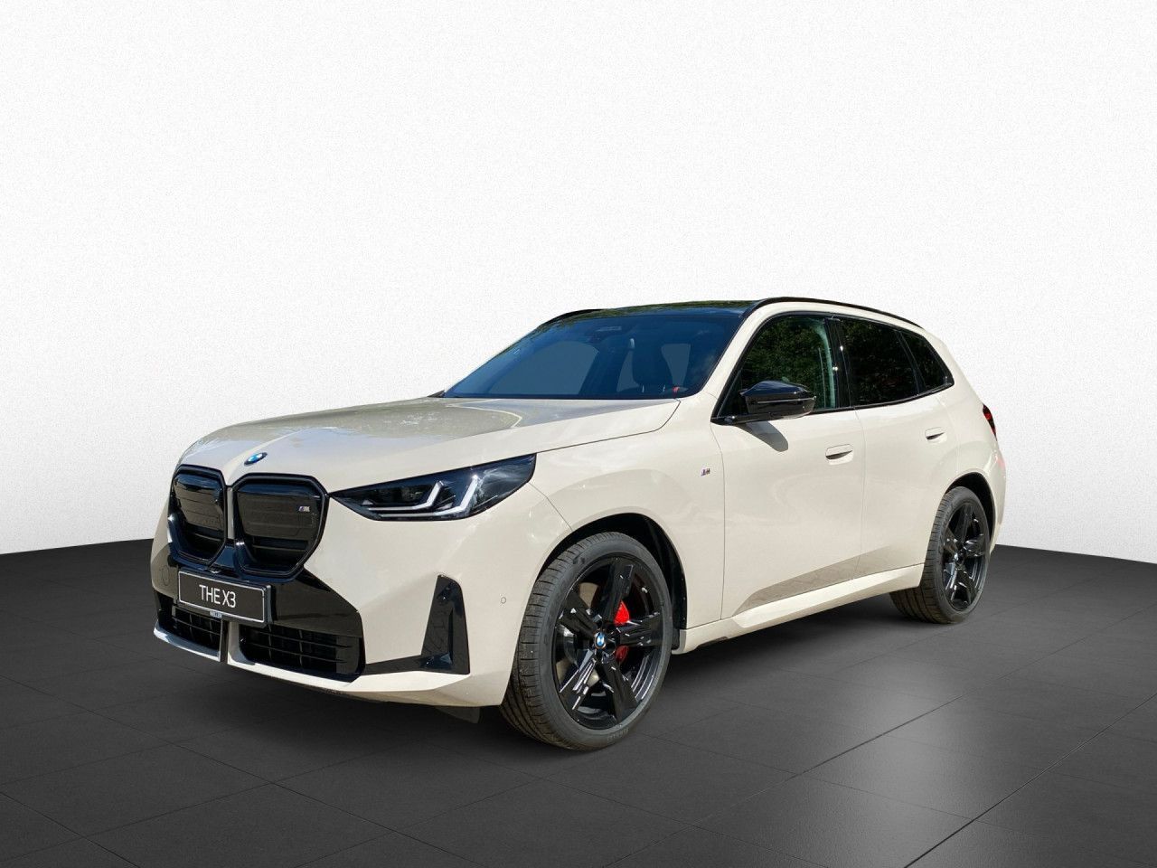 BMW X3 M50 xDr. M-Sport Pro, HUD, H&K, AHK, Pano, 21 foto 3