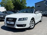 Audi A5 Cabriolet 1.8 TFSI/19TKM/1. Hand/S-Heft/Exclu - Audi A5 Gebrauchtwagen in Hannover