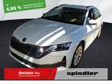 Skoda Octavia Selection 1.5 TSI / Navi, LED, RFK, ACC - Skoda Octavia: Leasing