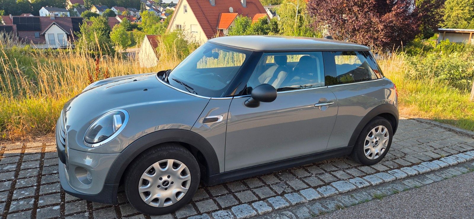 MINI One D 