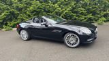 Mercedes-Benz SLK 200 BlueEFFICIENCY - - Mercedes-Benz SLK 200: Leder