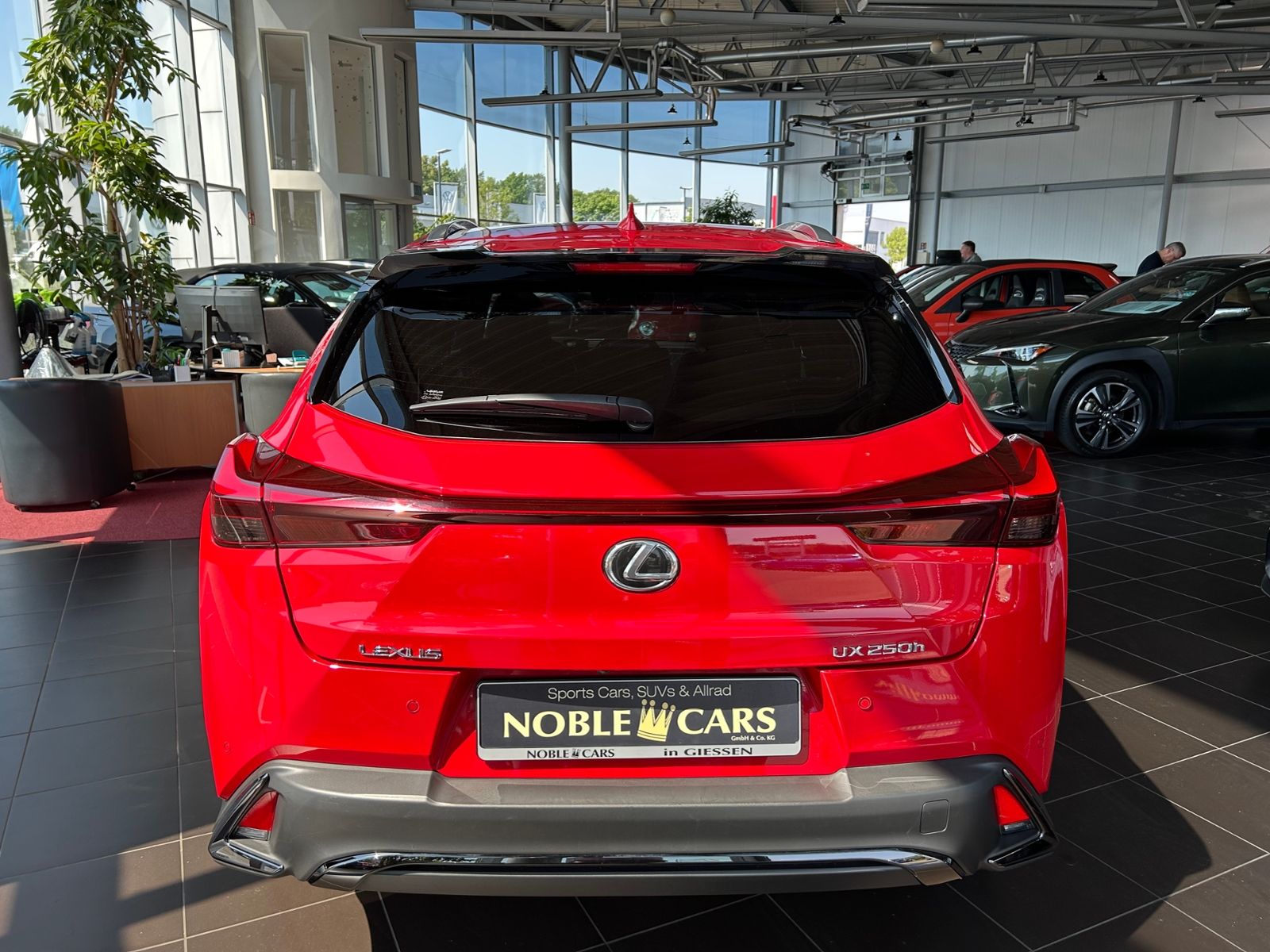 Fahrzeugabbildung Lexus UX 250 h F Sport HUD LED NAV RFK SHZ ALU