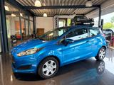 Ford Fiesta Trend - gebrauchte Ford Fiesta aus dem Jahr 2013