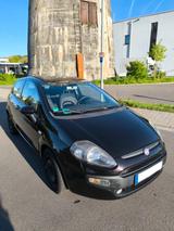 Fiat Punto Evo 1.4 | Frischer TÜV | AHK | Sommer - Fiat Punto Evo von privat