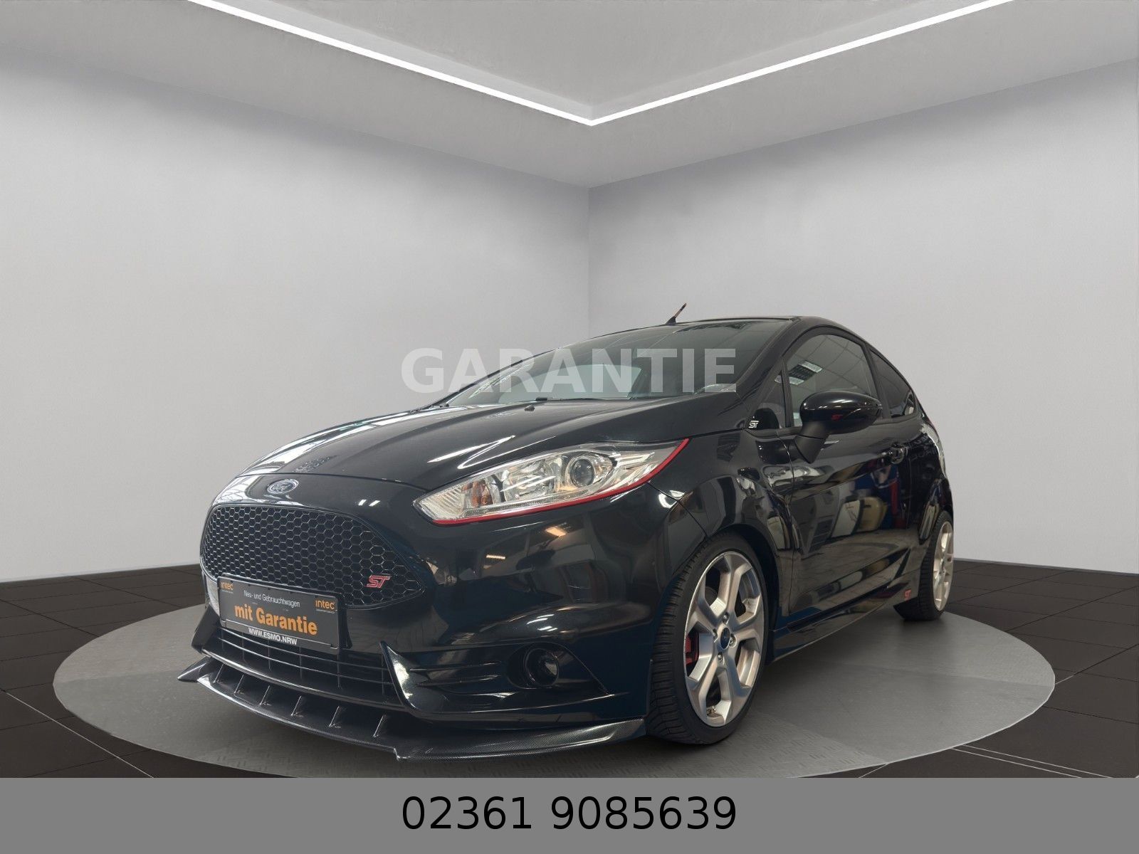 Fahrzeugabbildung Ford Fiesta ST Mega Optik