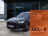 Cupra Formentor VZ5 4Drive 2.5 TSI 8- fach bereift 360 - Cupra Formentor Gebrauchtwagen