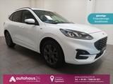 Ford Kuga 2.5 Duratec ST-Line|Navi|LED|Tempomat - Ford Kuga ST-Line mit Hybrid-Antrieb (Benzin/Elektro)