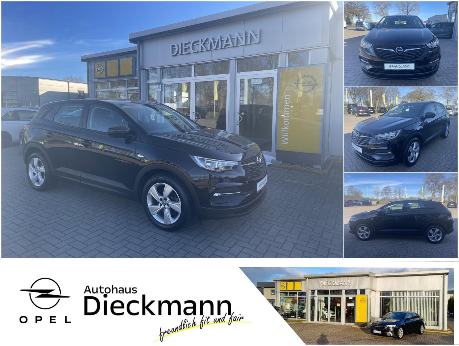 Opel Grandland X Edition Navi SHZ LHZ PDC V/H Allwett