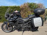Triumph Tiger 800 A08 Extrem zuverlässig - TRIUMPH MOTORRAD
