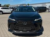 Lexus NX 350h Executive Hybrid - Lexus: Nx