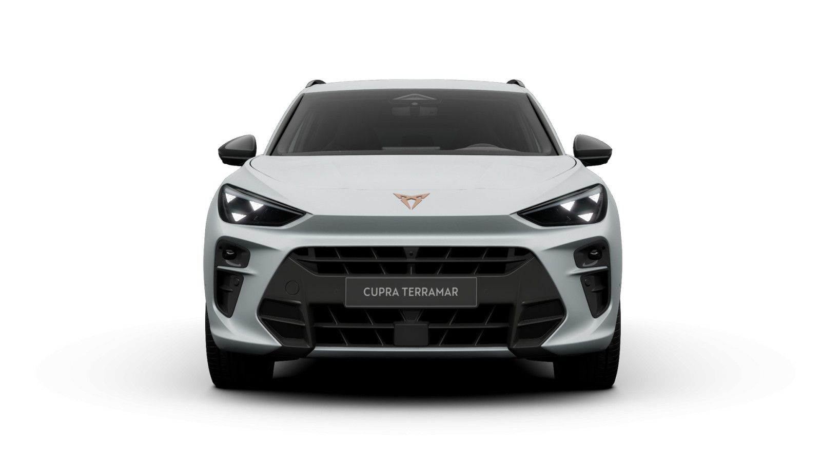 Cupra Terramar VZ 1.5 e-HYBRID 6-Gang-DSG imagem 2