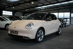 Fotografie des GWM Ora 03