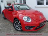 Volkswagen Beetle 1.4TSI DSG Sound Kamera Keyless AppCon. - Volkswagen Beetle: Sound