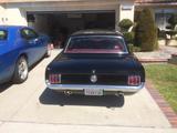 Ford Mustang - Ford Gebrauchtwagen von 1964