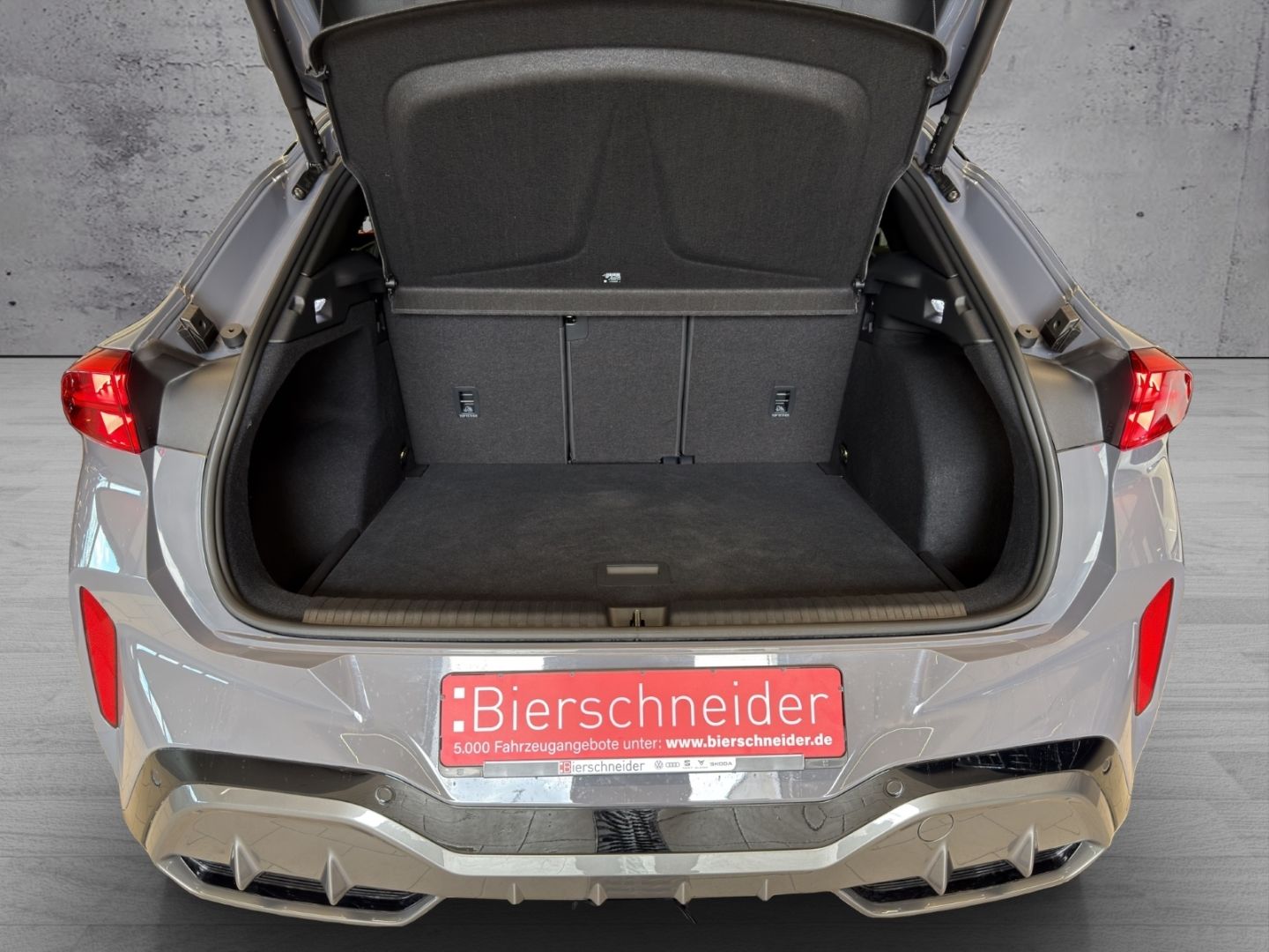 Cupra Terramar - Bild 18