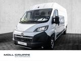 Opel Movano Cargo L3H2 103kw 2,2 BlueHDI *AHK*NAV*RFK - Opel Movano New cars mit Diesel-Antrieb: Kleinbus, Klimaanlage