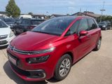 Citroën C4 Picasso 130 Exclusive *Automatik *Pano *AHK - Citroën: Automatik, Picasso