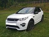 Land Rover Discovery Sport  D180 AWD Black Edition  - weiße Land Rover Discovery Sport