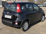 Fiat Panda MY24 1.0 Klima PDC Citypaket - Fiat Panda in Leipzig