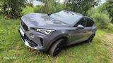 Cupra Formentor 2.0 TSI VZ 4Drive DSG, AHK, LED,Sounds - Cupra Formentor: Privatanbieter