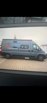 Roller Team Livingstone 2 Advance,Zahnriemen neu,Luftfed.