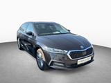 Skoda Octavia Ambition 2.0 TDI DSG AHK LED NAVI SHZ - Skoda Octavia: Ambition