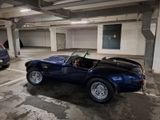 Cobra Andere - Cobra: Roadster