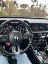 Alfa Romeo Stelvio 2.9 Bi-T. V6 375kW Quadrifoglio AT8-... - Alfa Romeo Stelvio: Quadrifoglio