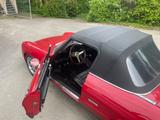 Alfa Romeo Spider - Alfa Romeo aus 1987
