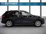 Ford Kuga Titanium 2.5 Duratec FHEV 4WD  - Ford Kuga FHEV Gebrauchtwagen