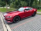 Ford Mustang 2.3 EcoBoost Fastback  - Ford Mustang: For