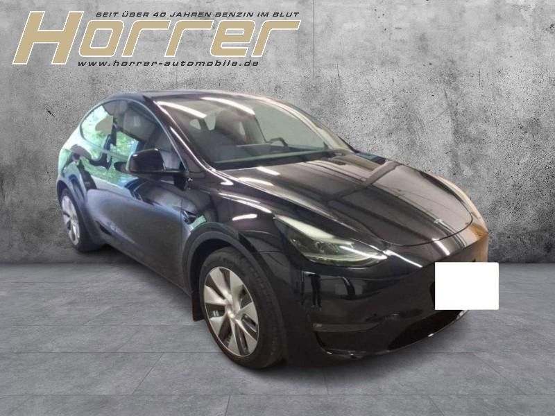 Tesla Model Y Long Range Dual AWD A.pilot Pr. Int.