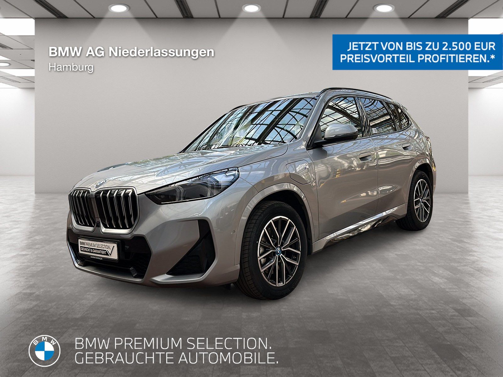 BMW X1 xDrive30e M Sport AHK Driv.Assist.Prof LED