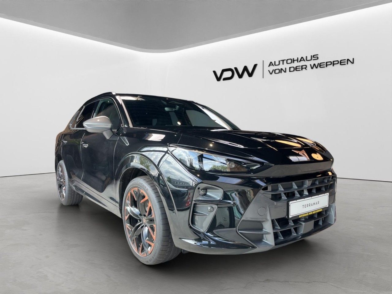 Cupra Terramar - Bild 6