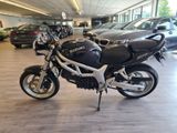 Suzuki SV 650 mit schönen Extras - SUZUKI 2000