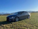 Jaguar XF 30d 300PS R-Sport Automatik R-Sport - Jaguar XF 300-Sport
