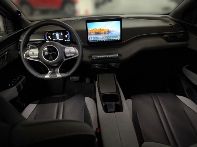 BYD DOLPHIN SURF