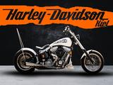 Harley-Davidson FXST Softail Standard  - CUSTOM - VERGASER - EVO - Offers