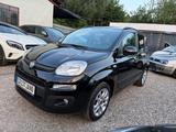 Fiat Panda Lounge NEUER TÜV - Fiat Panda: Automatik
