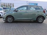 Kia Picanto 1.0 GDI MT VISION "Tageszulassung 7Jahre - Kia Picanto: Grün