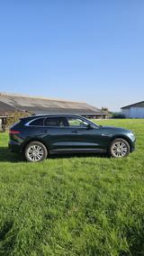 Jaguar F-Pace 25t AWD Automatik Prestige - Jaguar: Grün
