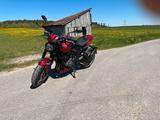 Triumph Trident 800 von Matthias Reim - Triumph Trident 800