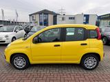 Fiat Pandina Pop+KLIMA+PDC+ASSISTENTEN+DIGITACHO+ISOF - Fiat New Panda mit Benzin-Antrieb: Limousine, Schaltgetriebe
