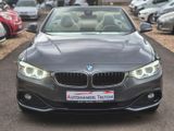 BMW Cabrio 420 d *Bi-Xenon *AHK *Head Up - BMW 420: 420d