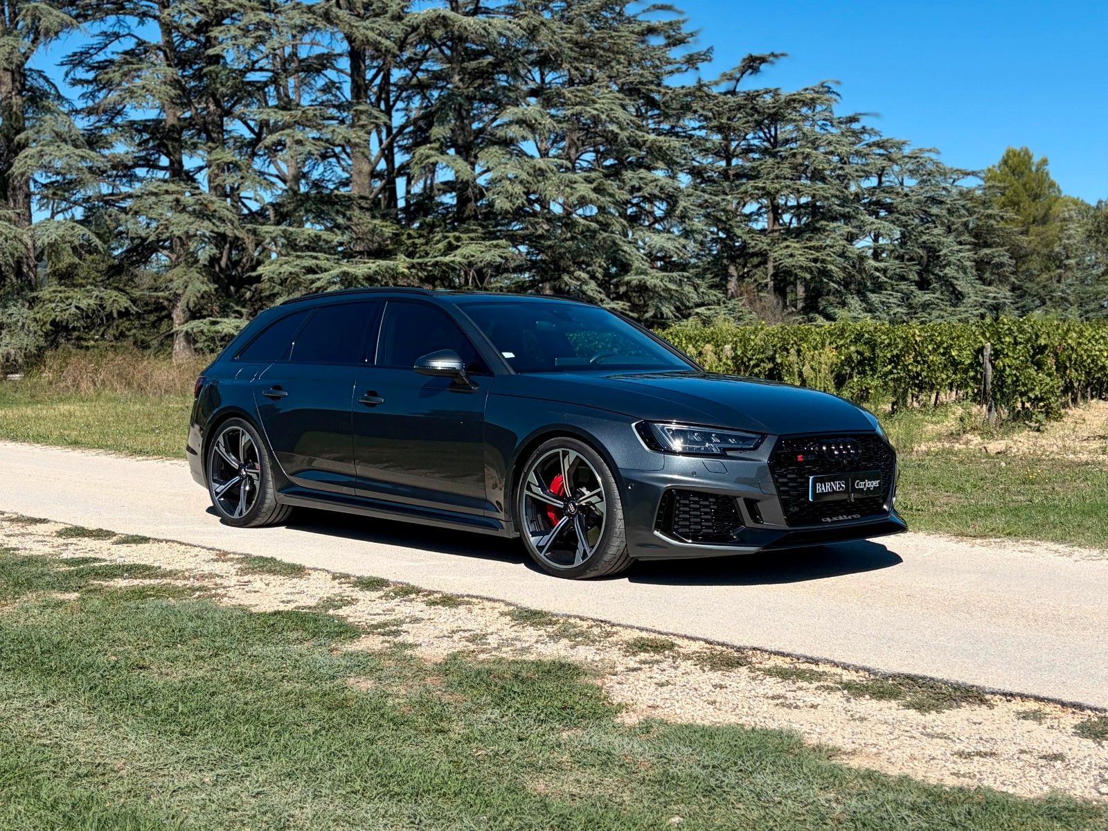 Audi RS4 2.9 TFSI tiptronic quattro Avant