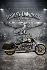 Harley-Davidson FLSTNSE CVO Softail Deluxe CVO - HARLEY-DAVIDSON FLSTN SOFTAIL DELUXE